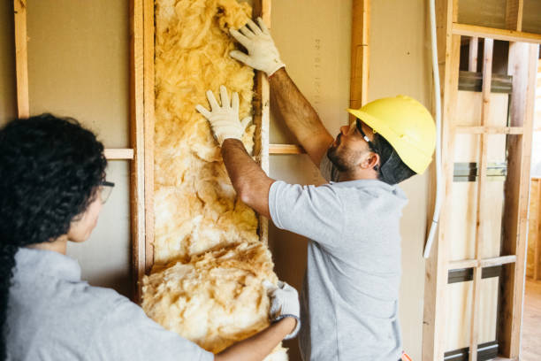 Trusted Timnath, CO Insulation Contractor Experts